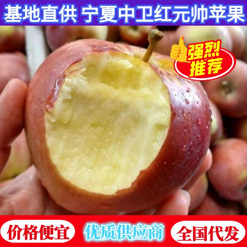 【红星苹果】宁夏苹果基地批发一手货源价格便宜一条龙