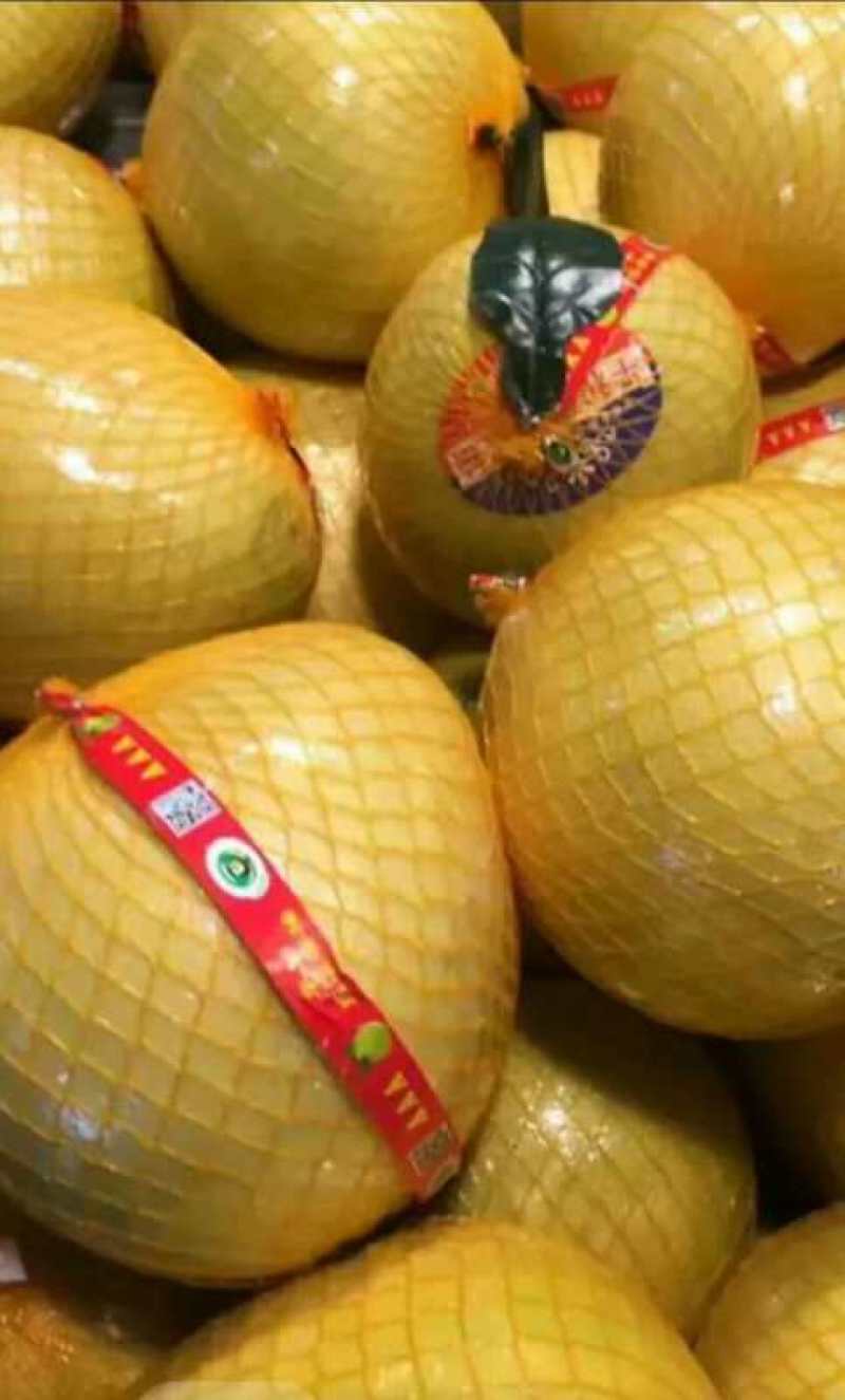 蜜柚白心红心柚产地批果园看货定园，皮毛光滑细嫩，入口化渣