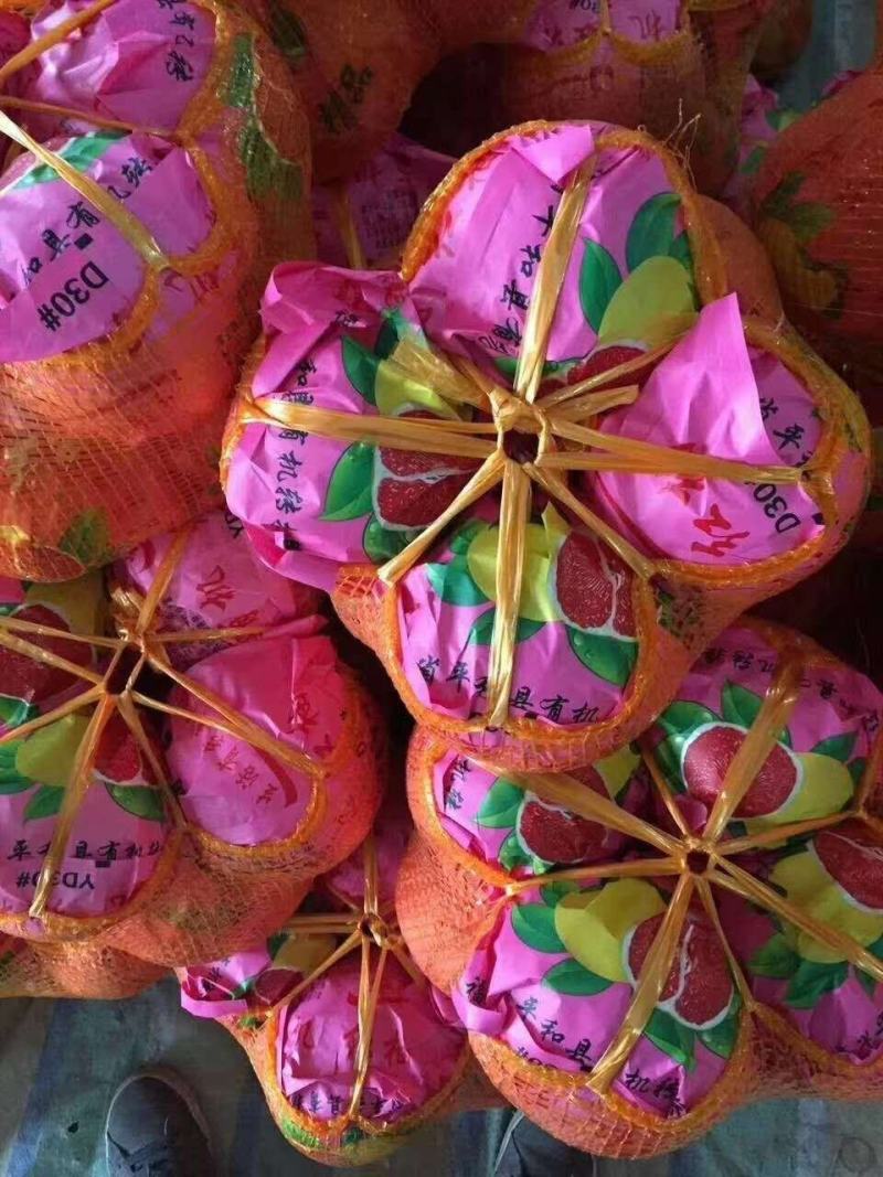 蜜柚白心红心柚产地批果园看货定园，皮毛光滑细嫩，入口化渣