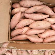 龙薯九，红薯，自家种植，品种齐全，价格实惠质量保证