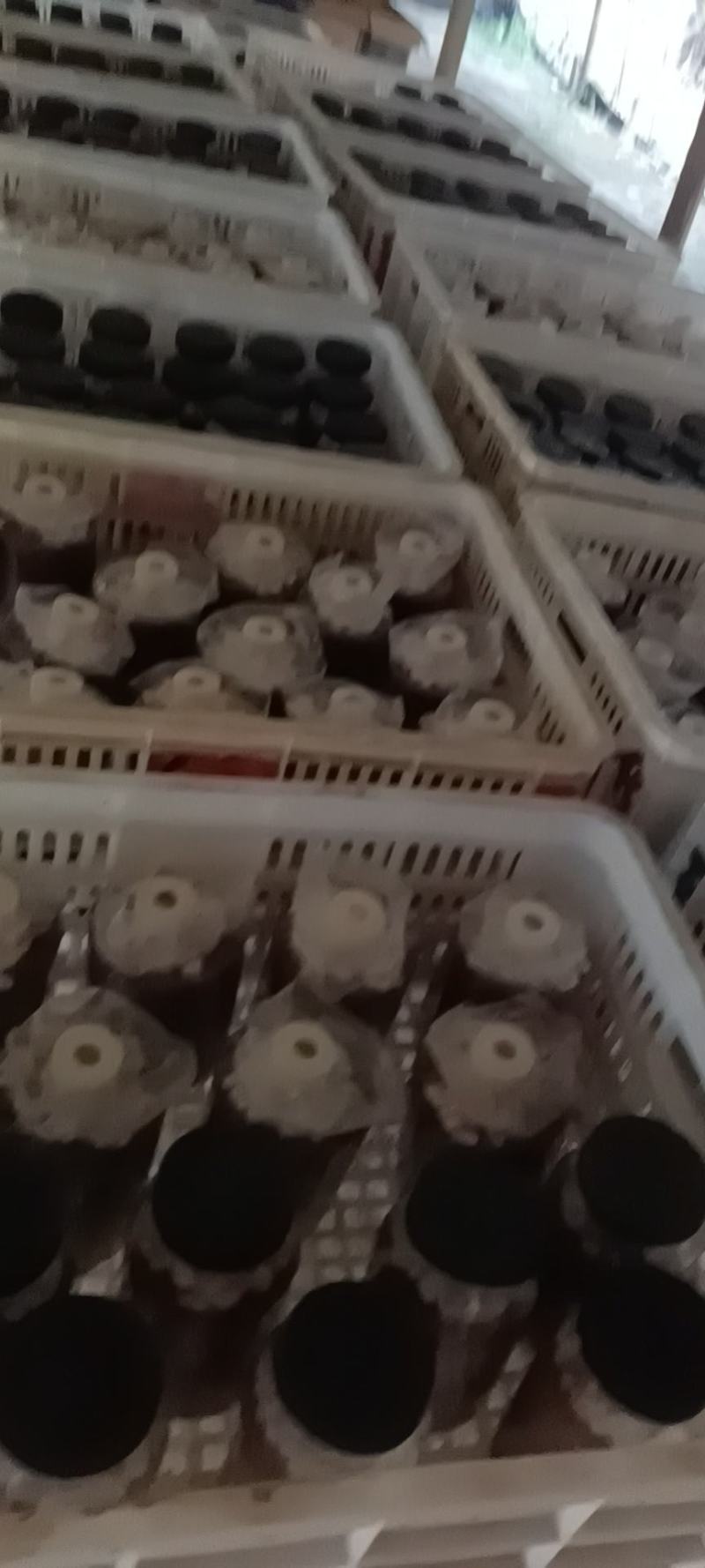 棉壳主料菌袋六斤