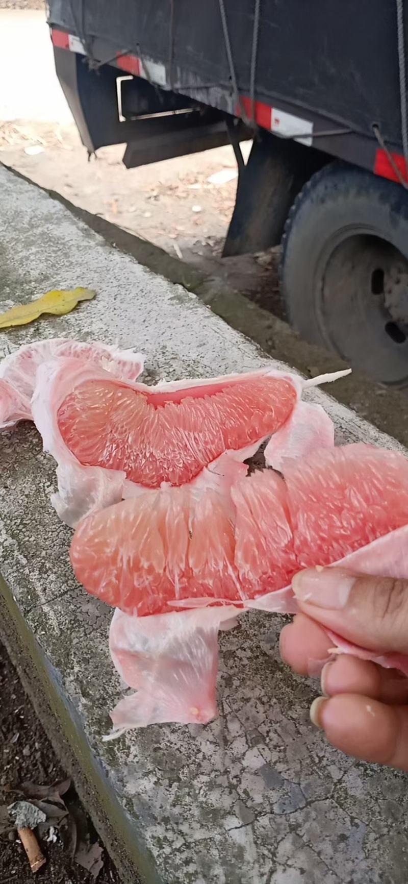 三红蜜柚