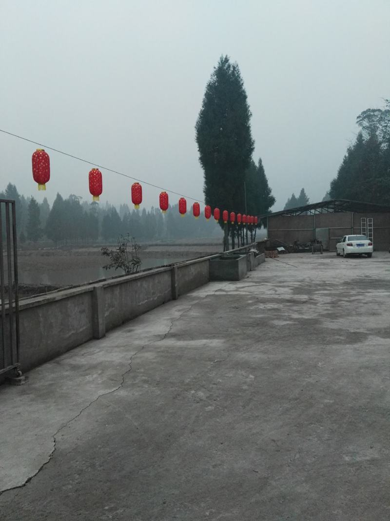 农场转租或转让