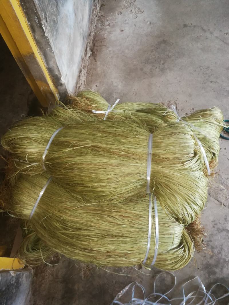 四川，大竹县，优质苎麻