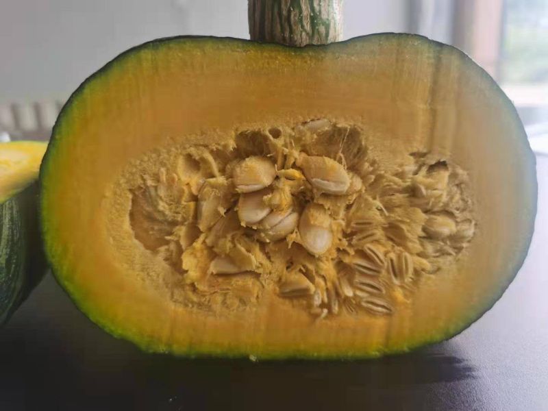 甜栗南瓜