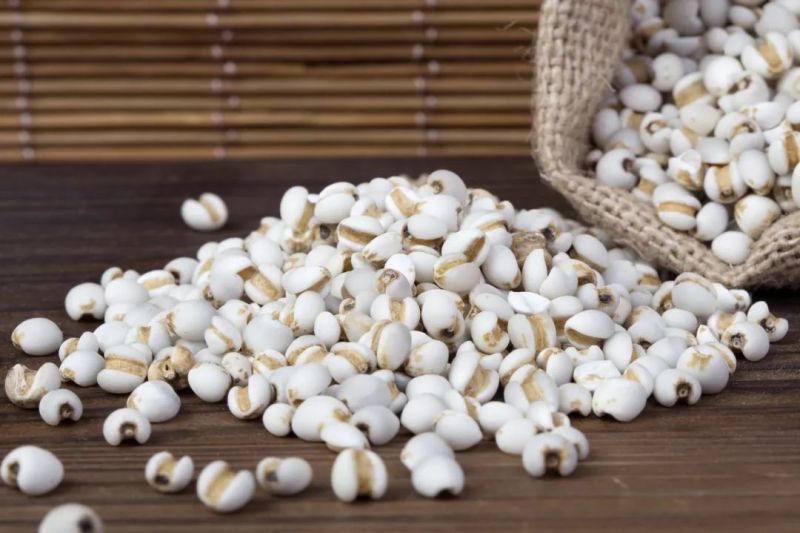 熟薏米仁低温烘焙熟薏米磨粉打豆浆原料开水冲泡即可