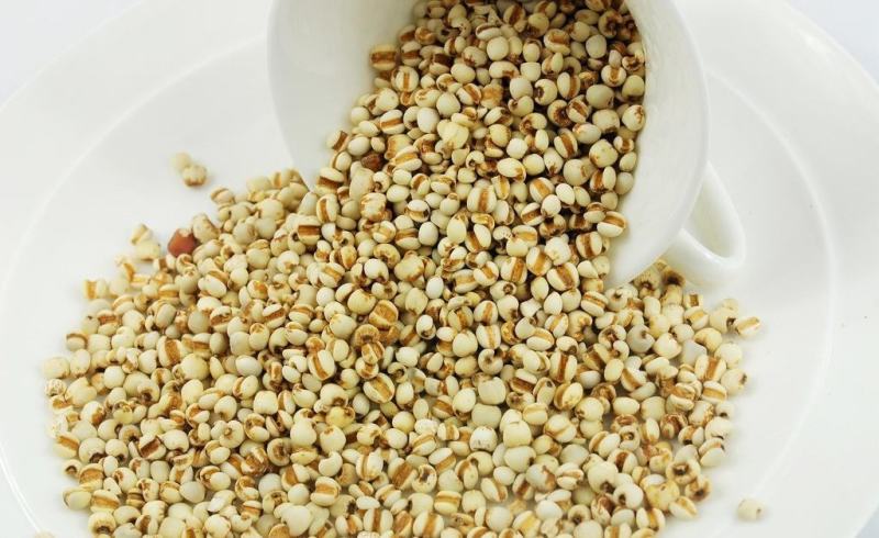 熟薏米仁低温烘焙熟薏米磨粉打豆浆原料开水冲泡即可