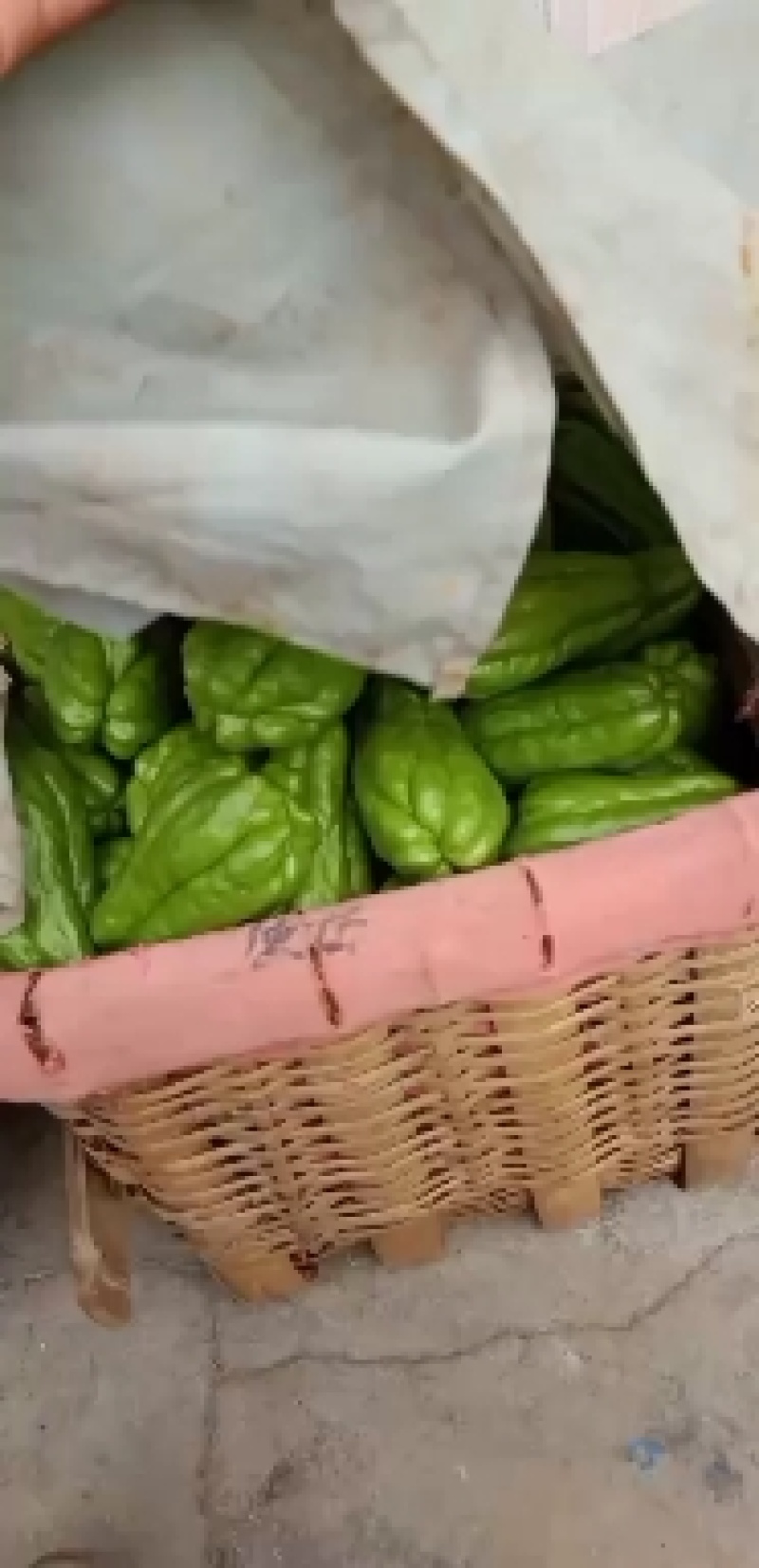 佛手瓜