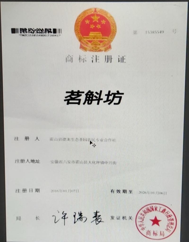自产自销高山绿茶，霍山黄芽袋装，厂家直发