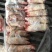 母猪去筋猪蹄通货25公斤30个左右袋装