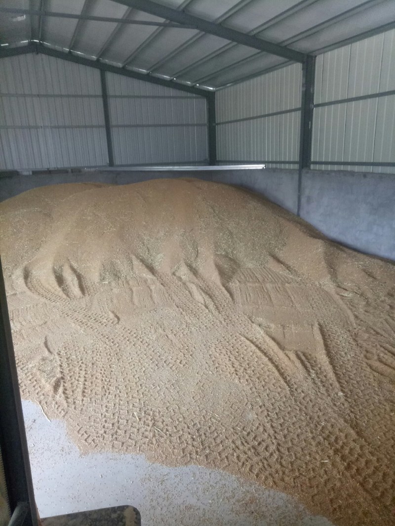 出售小麦