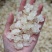 特上雪燕（全白雪花）5A雪燕泡发拉丝效果好