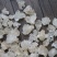 特上雪燕（全白雪花）5A雪燕泡发拉丝效果好