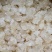 特上雪燕（全白雪花）5A雪燕泡发拉丝效果好