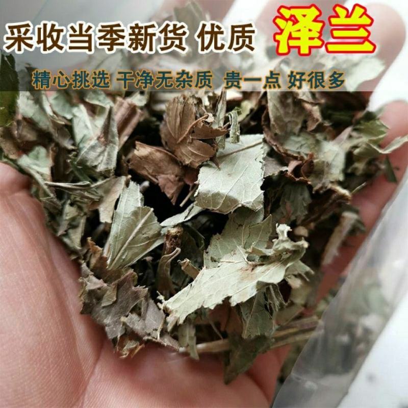 泽兰泽兰可打粉新货草泽兰泽兰叶蛇王