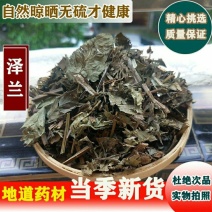 泽兰泽兰可打粉新货草泽兰泽兰叶蛇王