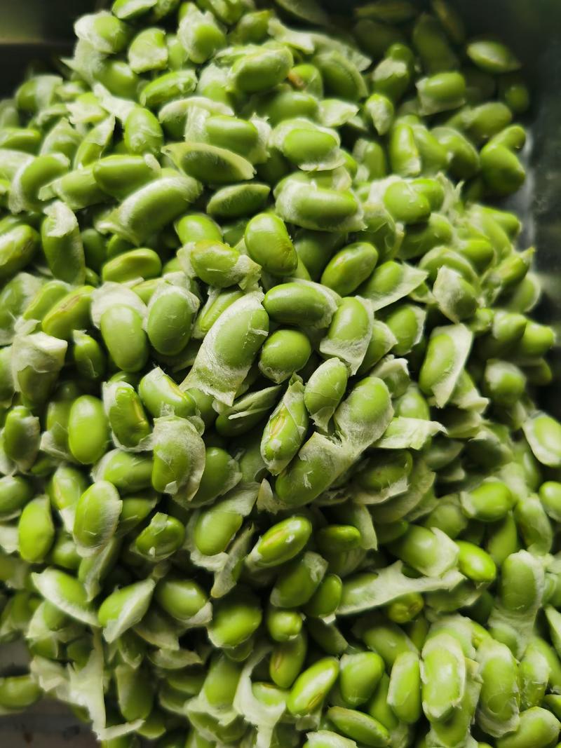5月1号芜湖大棚毛豆大量上市，产地直发，品质好，颗粒饱满