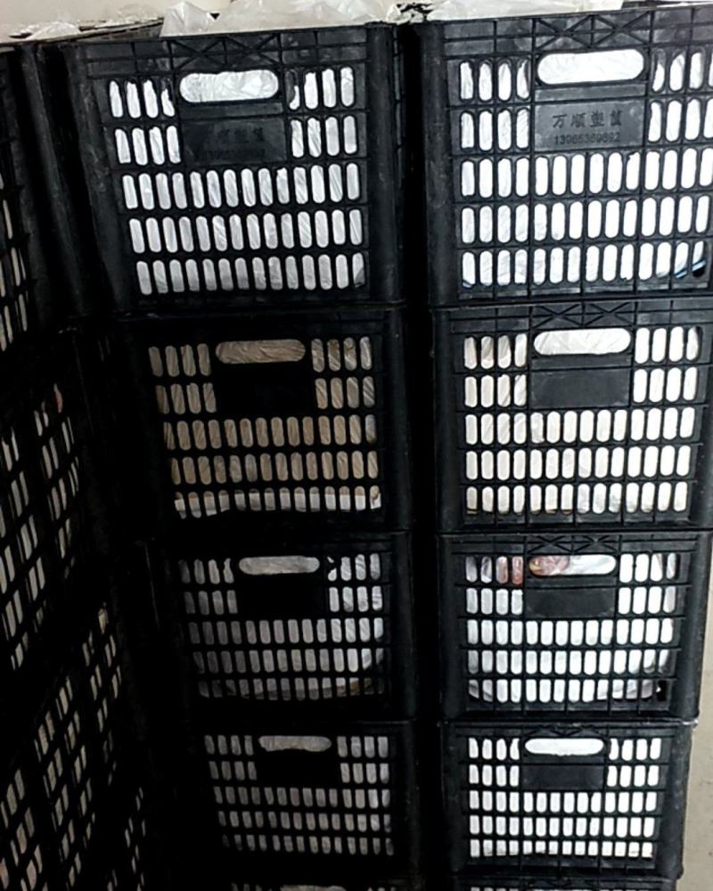 徐州新高梨产地直销地头发货可视频看货