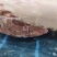 肥猪去皮带脂后腿肉新货手续齐全
