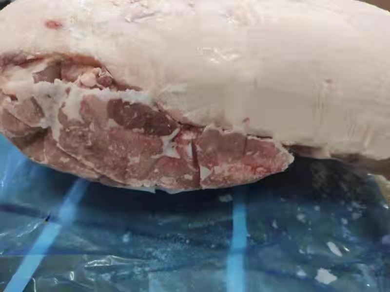 肥猪去皮带脂后腿肉新货手续齐全