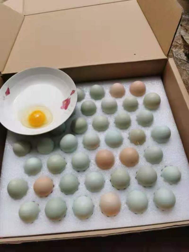 土鸡蛋京山山林散养虫草土鸡蛋大量供应保证质量保证新鲜