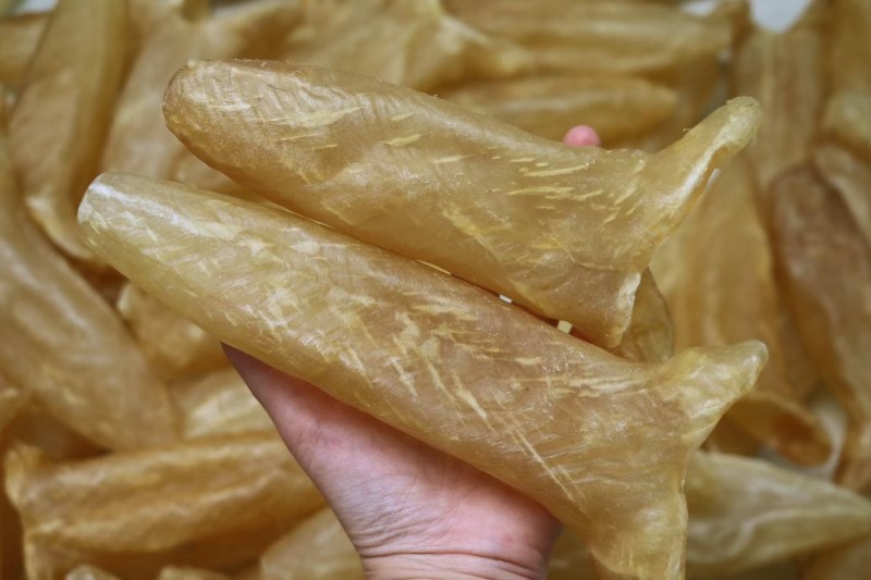 c厂黄花胶6头鱼胶花胶批发足干品质干没有破洞