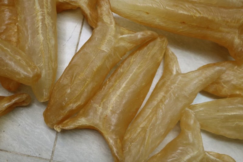 c厂黄花胶6头鱼胶花胶批发足干品质干没有破洞