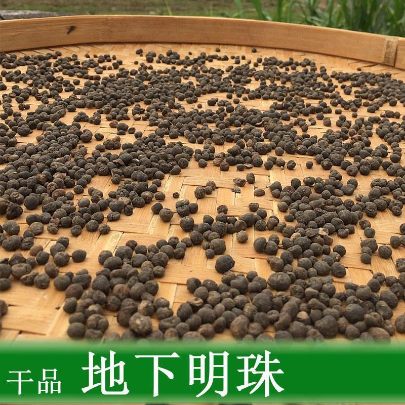 地下明珠正品野生地下明珠落地珍珠冷背中药材品质保证