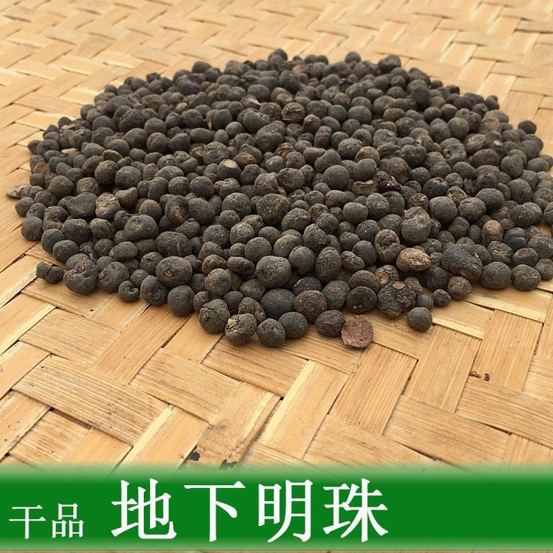 地下明珠正品野生地下明珠落地珍珠冷背中药材品质保证