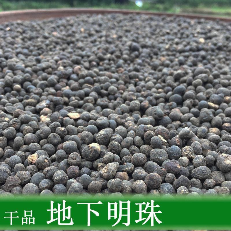 地下明珠正品野生地下明珠落地珍珠冷背中药材品质保证