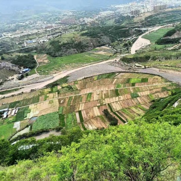 东川117亩土地出租