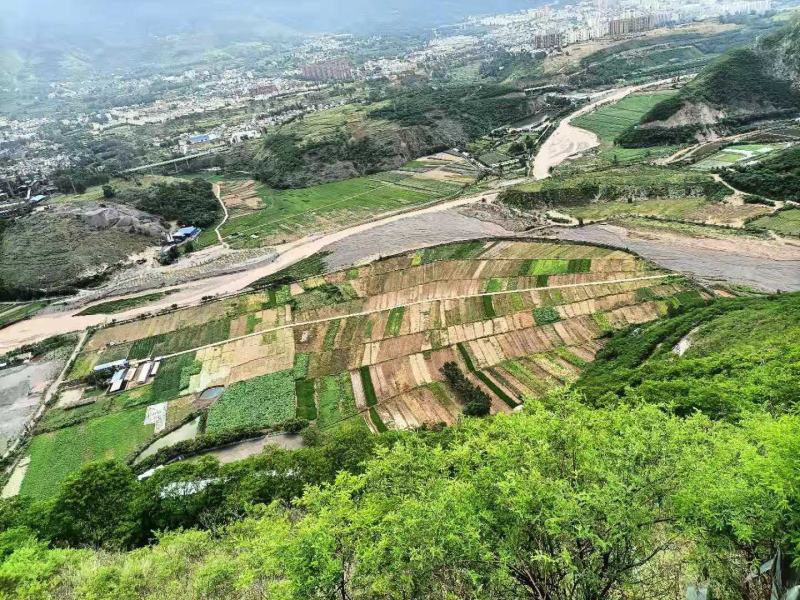 东川117亩土地出租