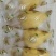 雪糕/榴莲味雪糕网红诚信工厂定制雪糕