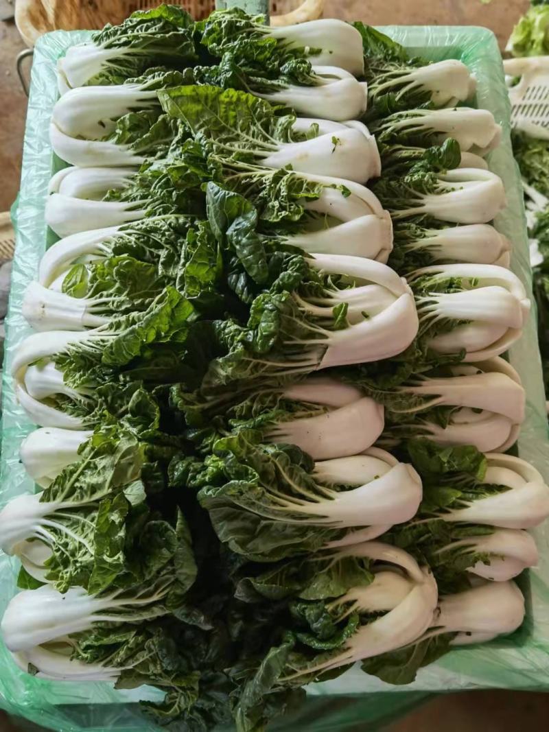 奶白