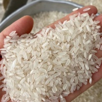 湖北枝江金沐米业优质稻谷