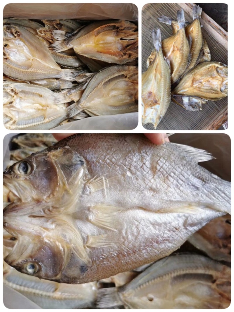 开边鲈鱼干地摊电商批发深海鲈鱼干鲈鱼片鱼干干鱼