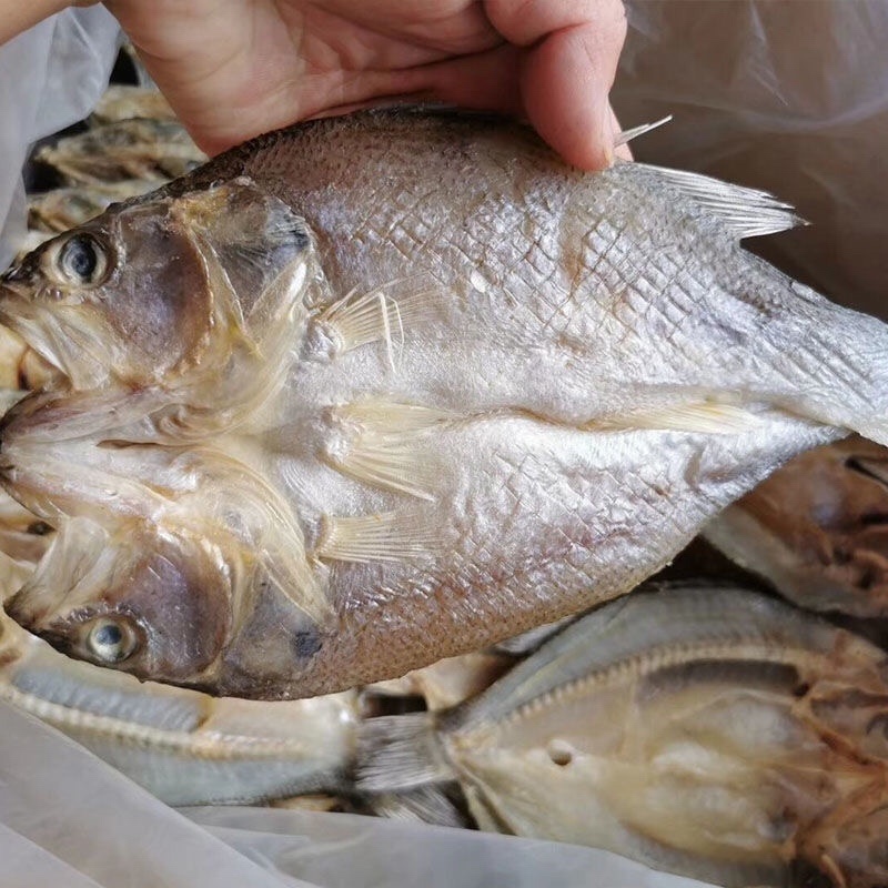开边鲈鱼干地摊电商批发深海鲈鱼干鲈鱼片鱼干干鱼