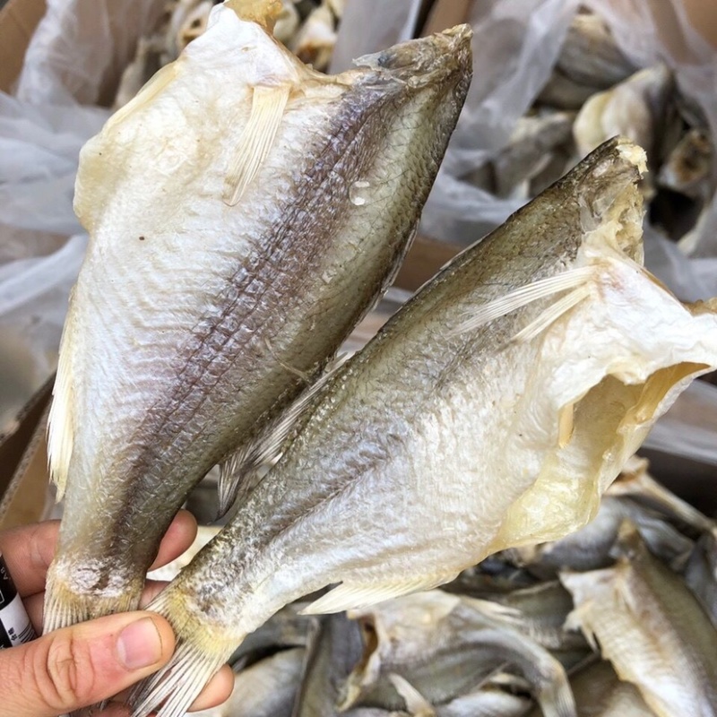 无头鲈鱼干地摊深海鲈鱼干特大号鲈鱼加洲鲈鱼大号淡水鲈鱼干