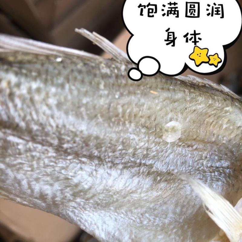 无头鲈鱼干地摊深海鲈鱼干特大号鲈鱼加洲鲈鱼大号淡水鲈鱼干