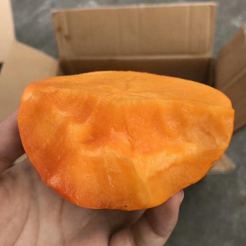 一件代发，电商拼多多，脆柿子，水果柿子，阳丰