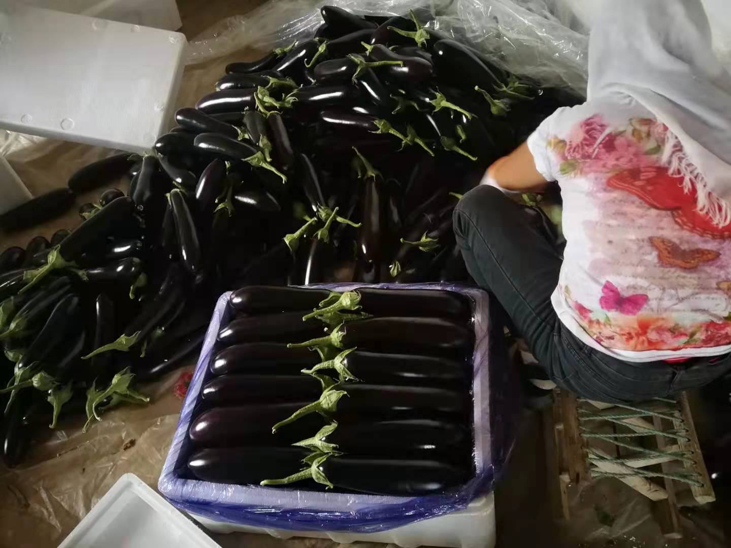 市场中挑选新鲜茄子的场景