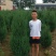 河南侩柏，适合绿化种植。1米_2米优质河南侩栢