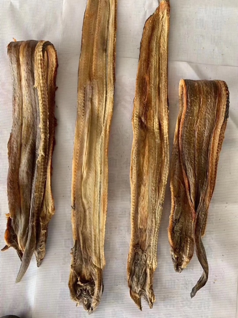 鳗鱼干地摊东海龙鱼鳗鱼干