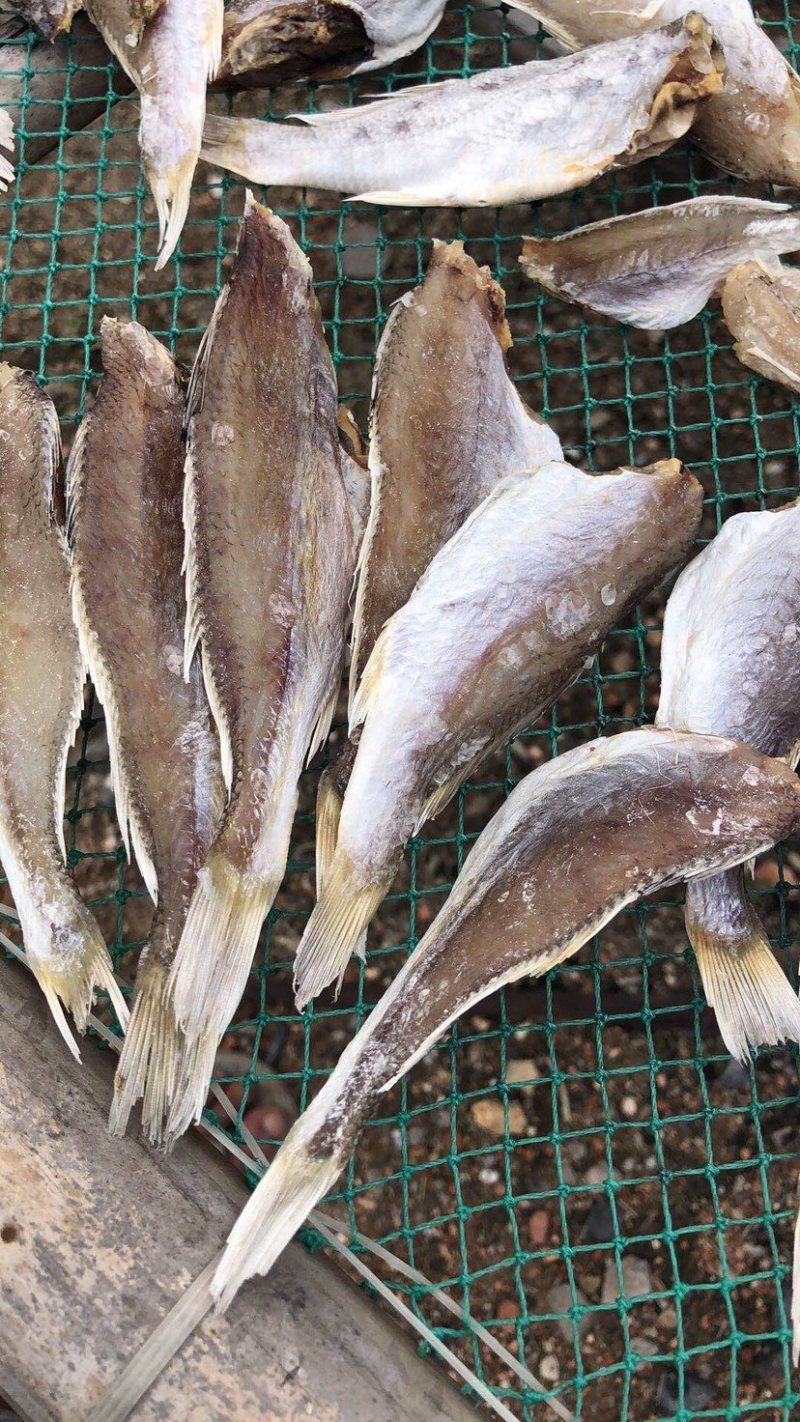 黄花鱼地摊小黄花鱼鱼干