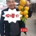 特早蜜橘，合作社直供，农商对接，无代办费