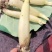 水果藕马踏湖白莲藕藕尖脆藕高档食材水果藕
