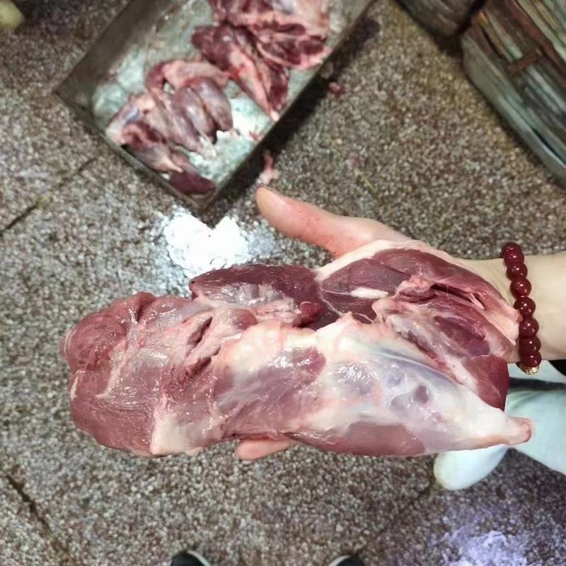 母猪腱子新鲜冷冻猪腱子肉，猪副腱偏腱，腱瓜，可做酱肉