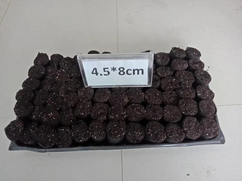轻基质无防布育苗杯灌好轻基质容器杯基质袋无防布育苗袋