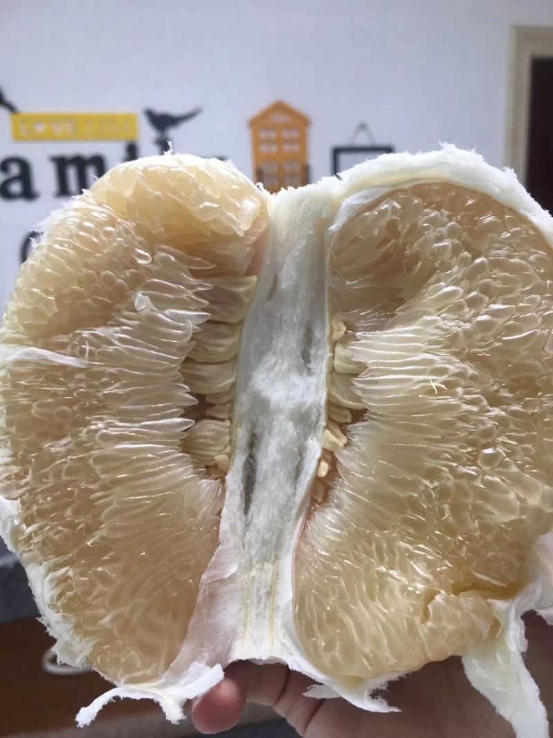 自家种植蜜柚水分超足果肉非常多品质好