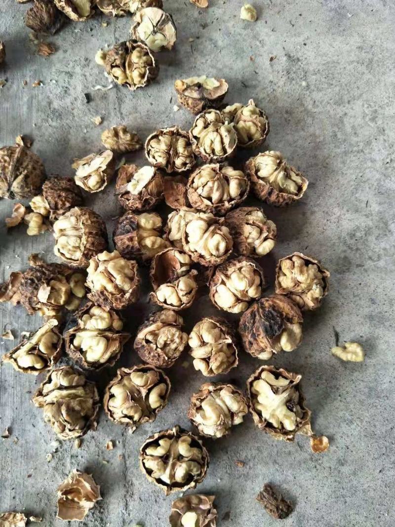 小麻子薄壳核桃